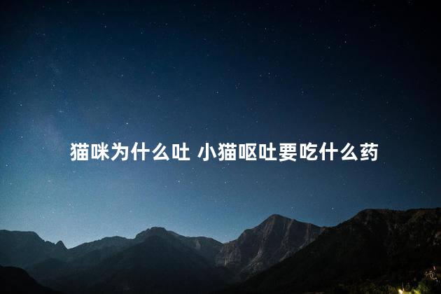 猫咪为什么吐 小猫呕吐要吃什么药